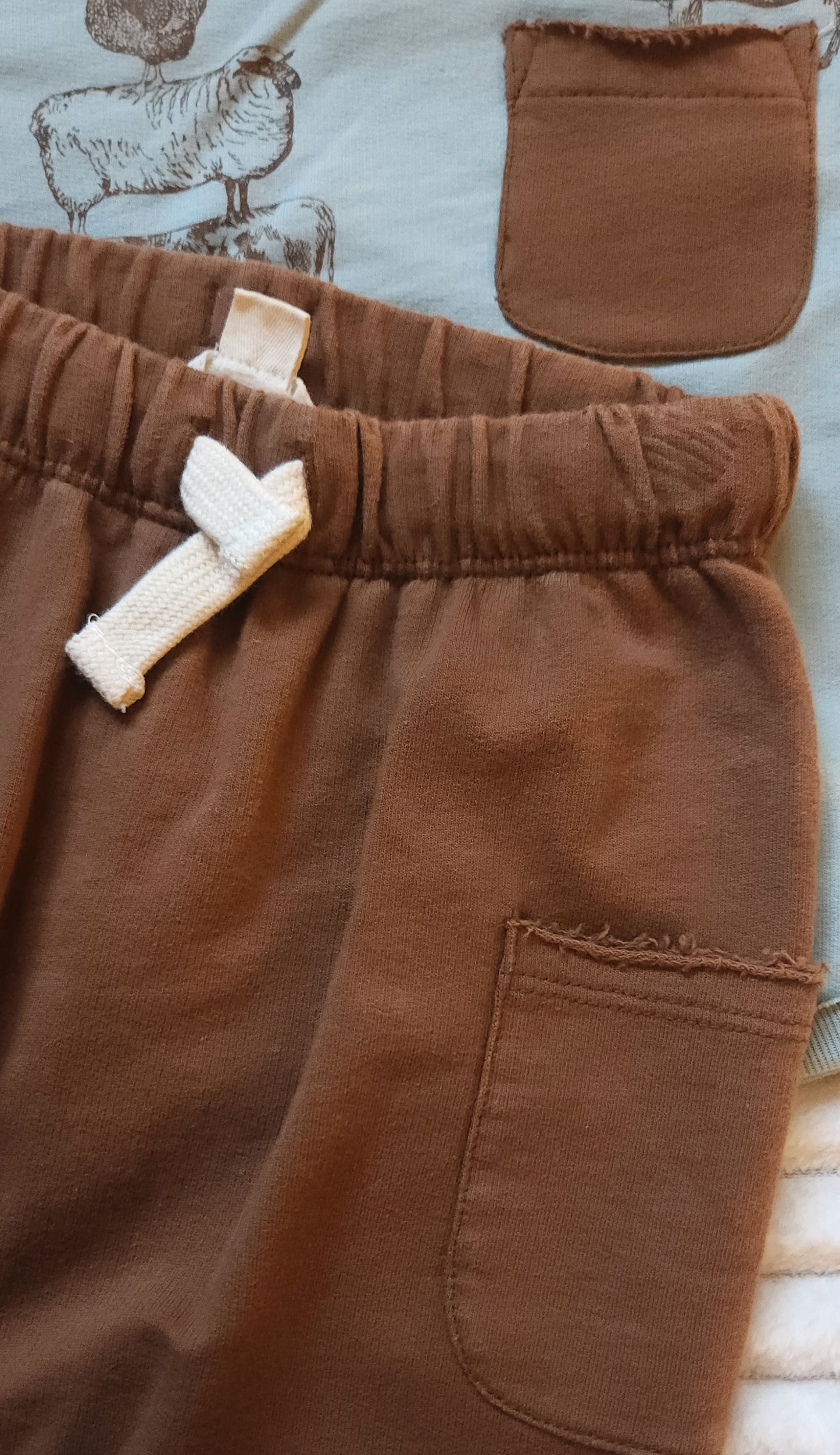 Stacked Farm Animals Organic Tee & Pant Set