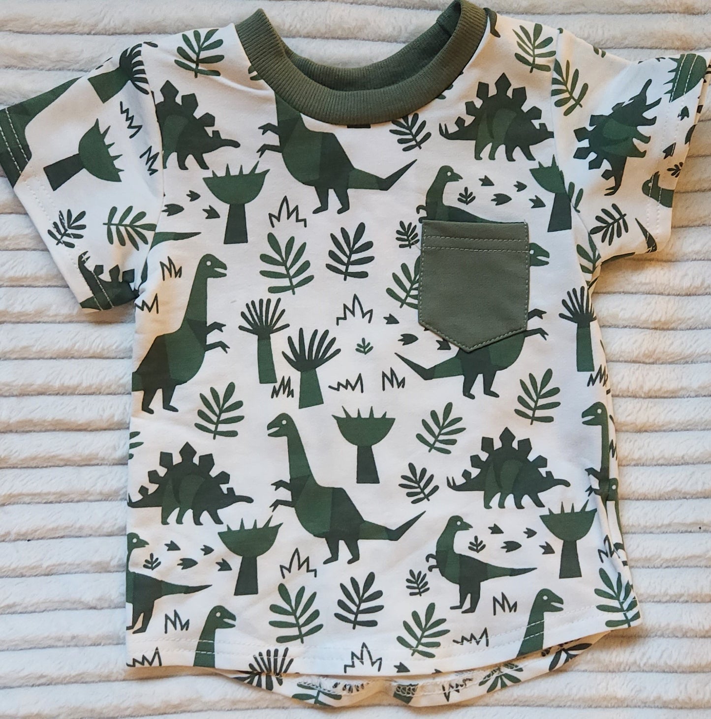 Muted Dinosaur Shorts Set