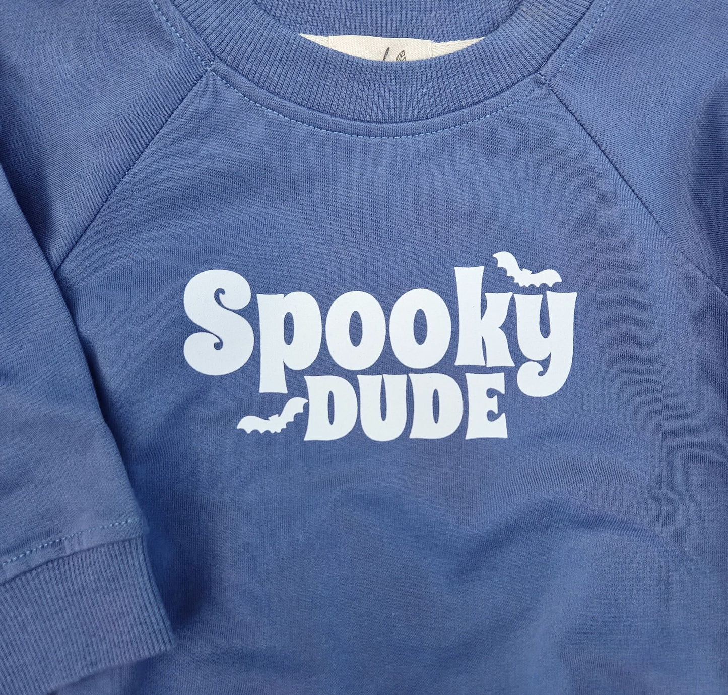 Spooky Dude Organic Pullover