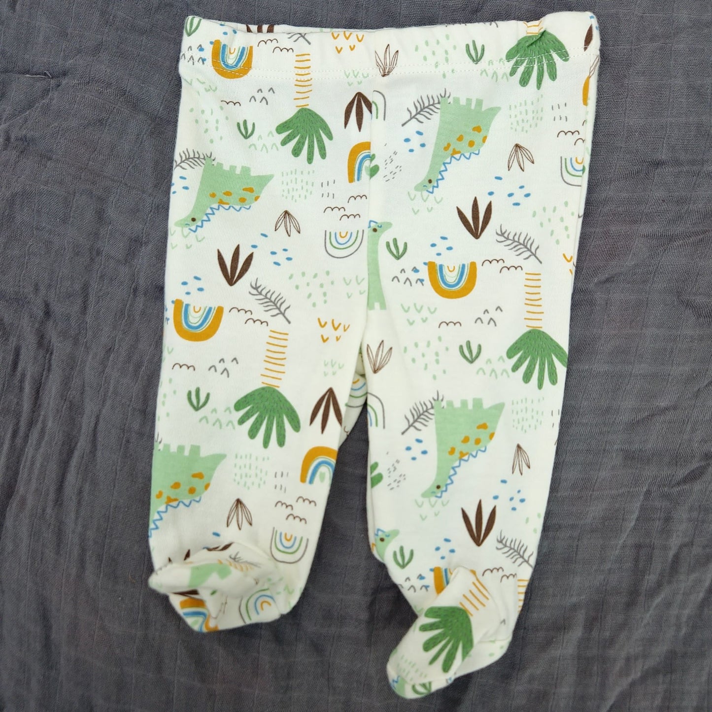 3 Piece Set- Dinosaur