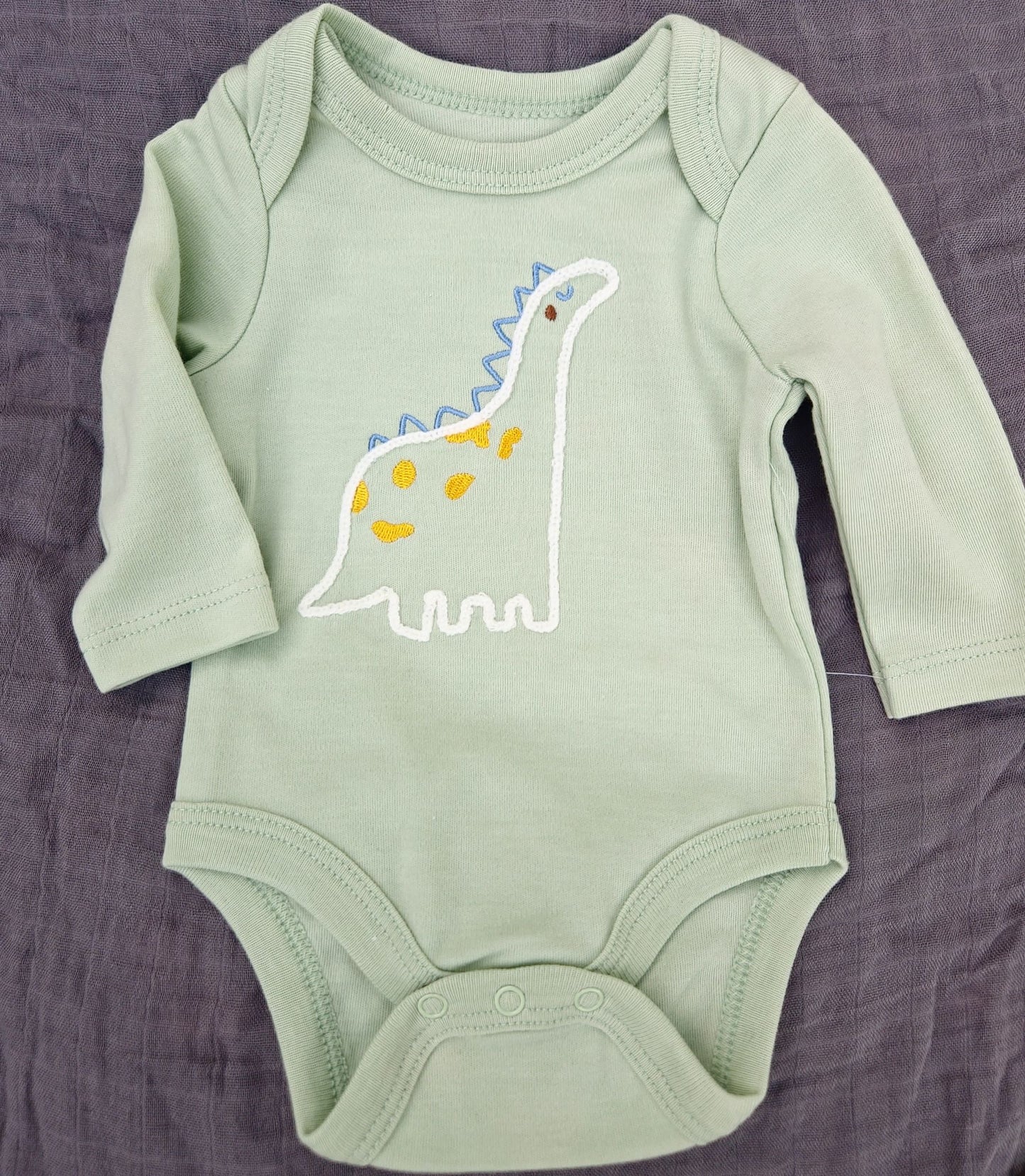 3 Piece Set- Dinosaur