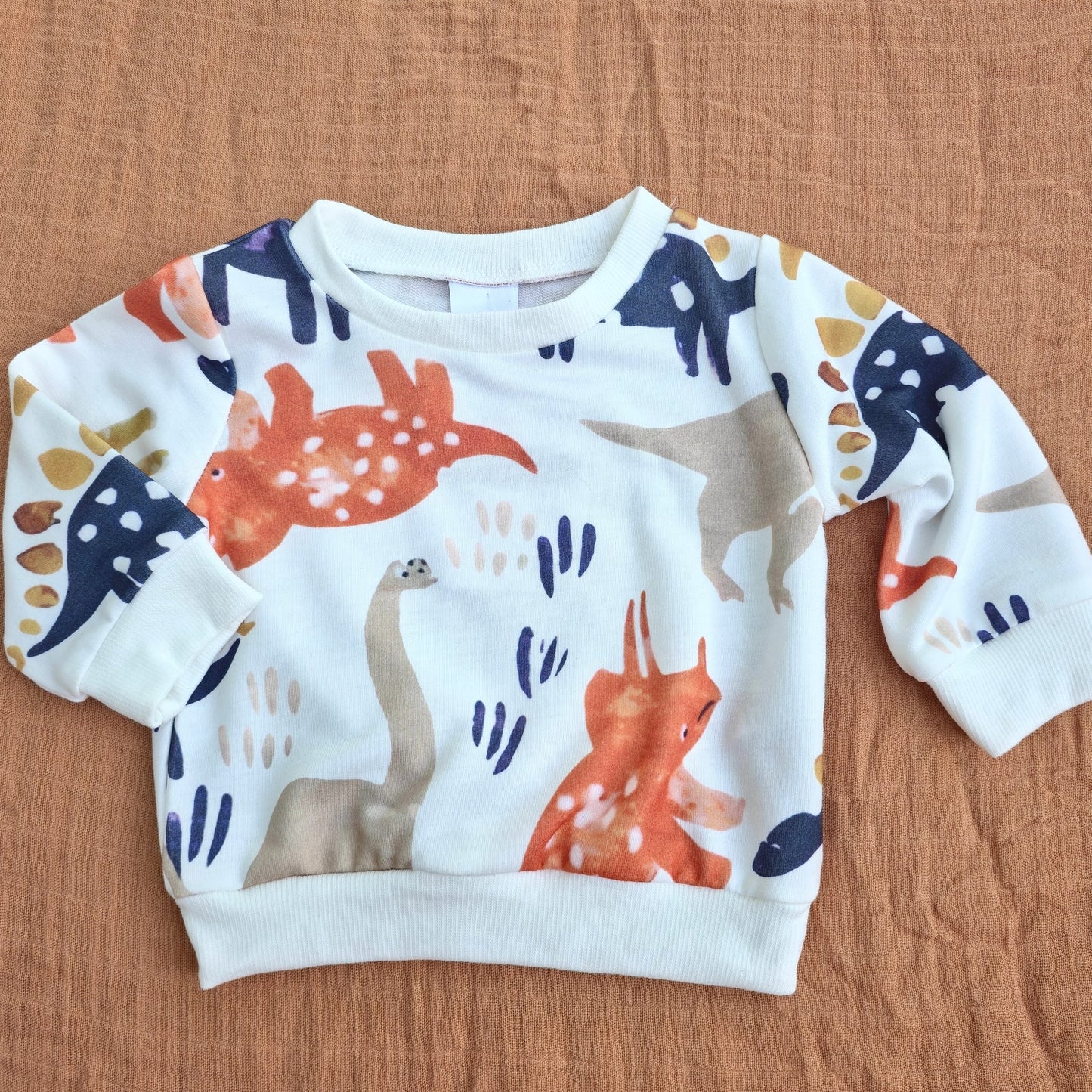 Dinosaur Sweatshirt