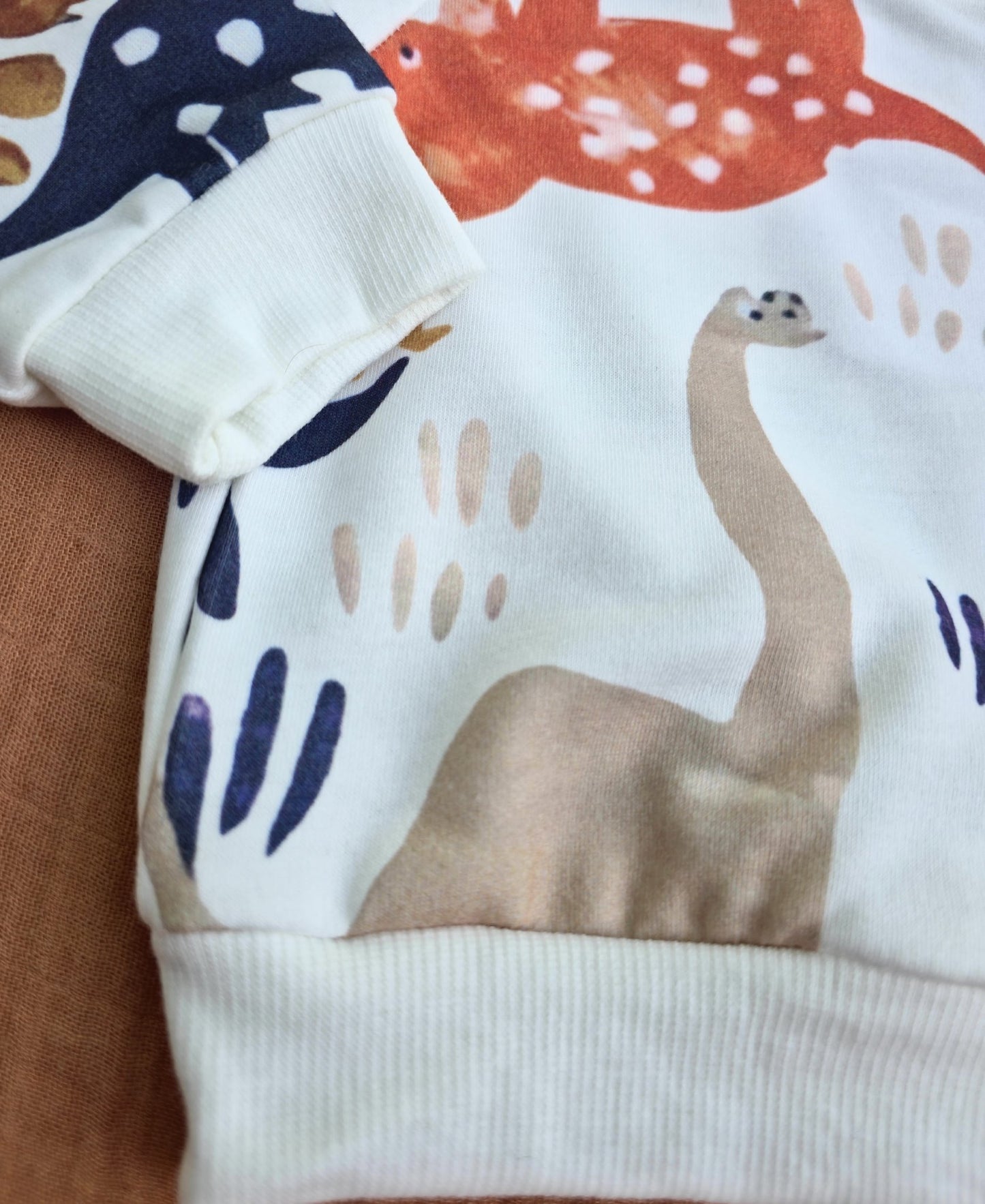 Dinosaur Sweatshirt
