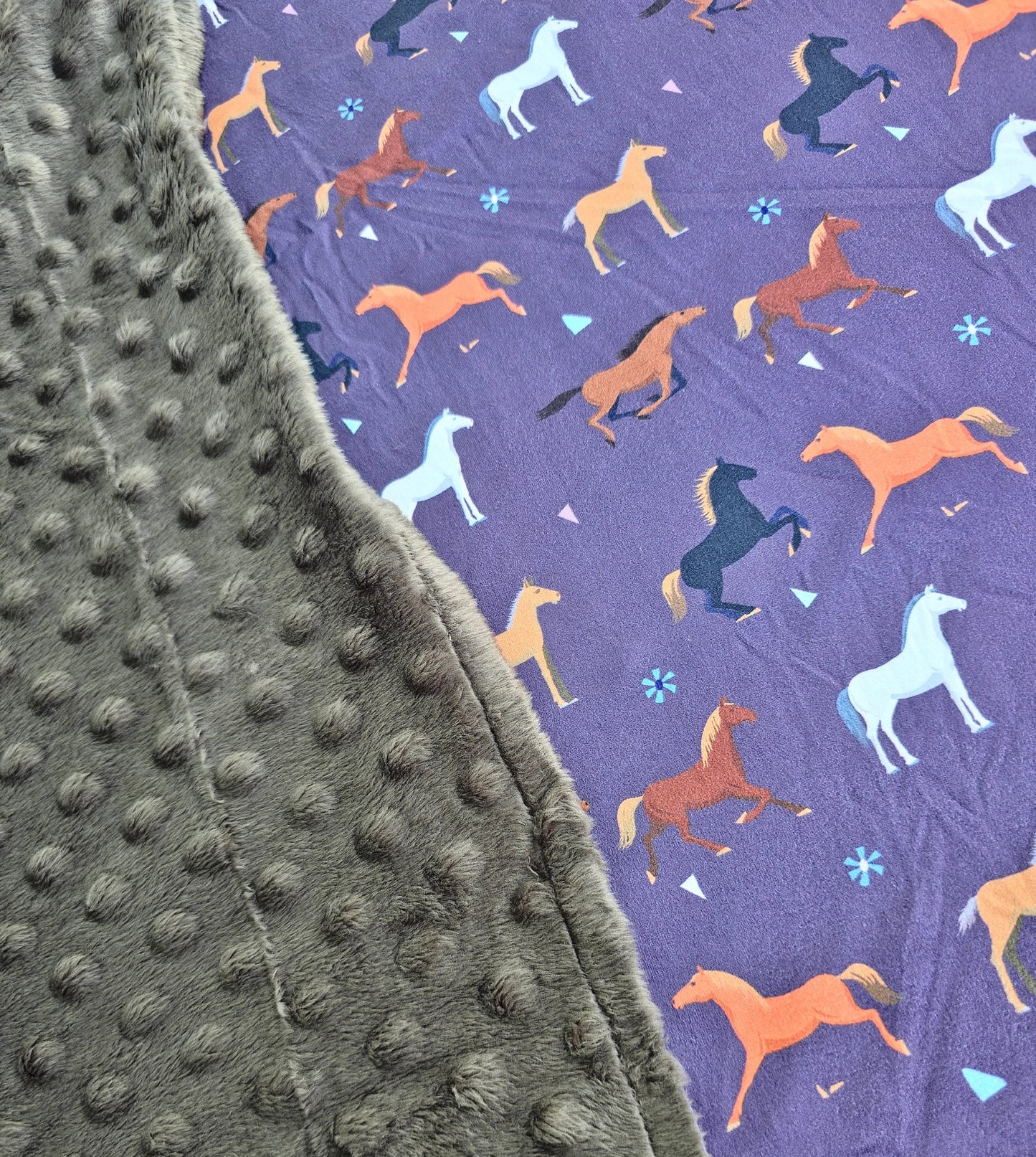 Playing with Horses Minky Blanket