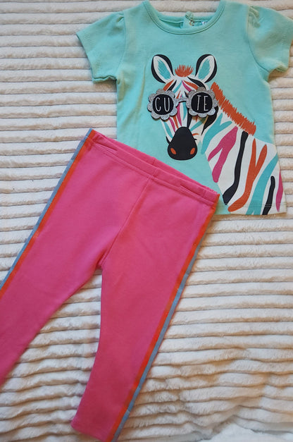 Girls 2 Piece Zebra Legging Set