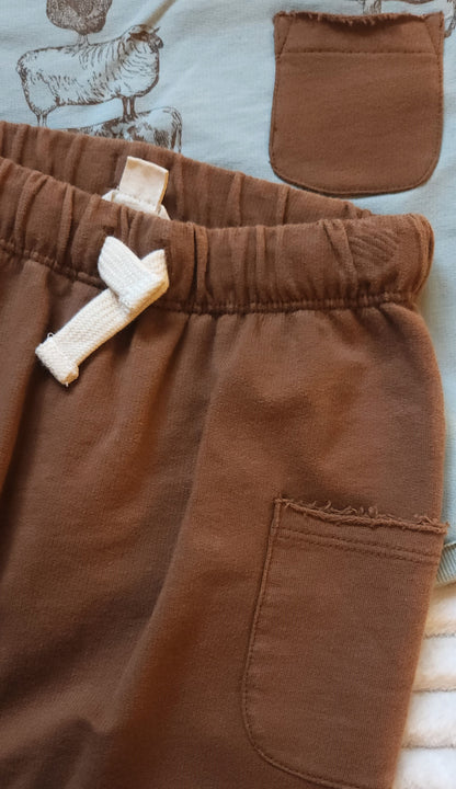 Stacked Farm Animals Organic Tee & Pant Set