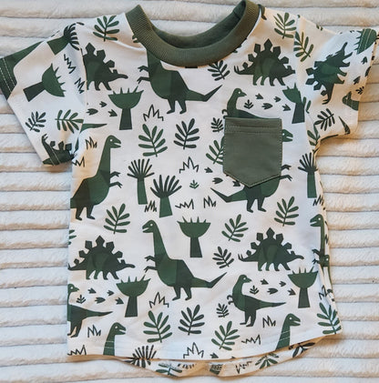 Muted Dinosaur Shorts Set