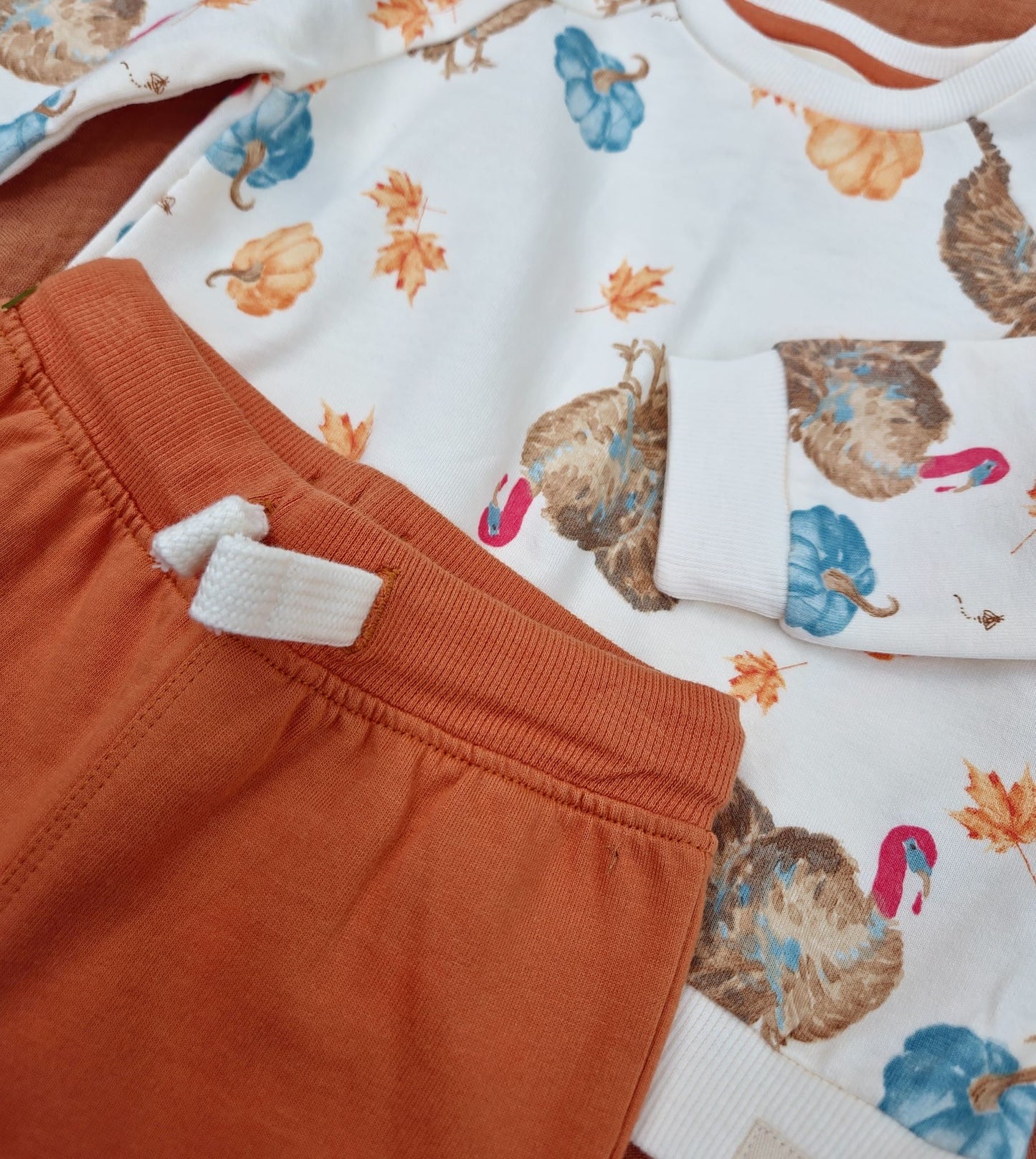 Turkey Time Set