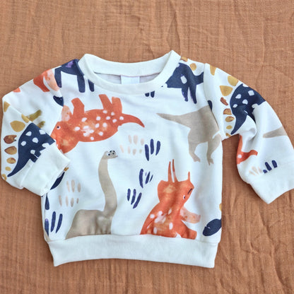 Dinosaur Sweatshirt
