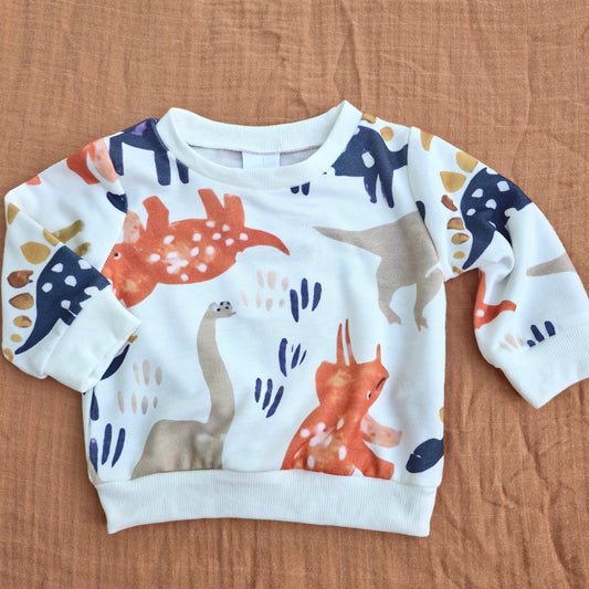 Dinosaur Sweatshirt