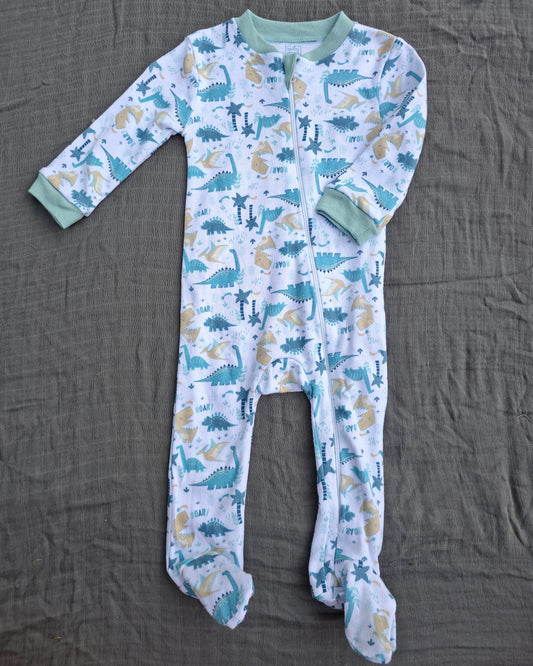 Boy’s Interlock Coverall: Dinosaur